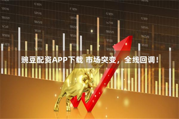 豌豆配资APP下载 市场突变，全线回调！