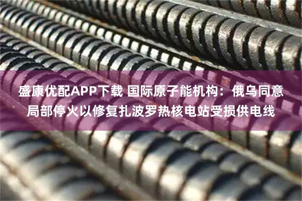 盛康优配APP下载 国际原子能机构：俄乌同意局部停火以修复扎波罗热核电站受损供电线