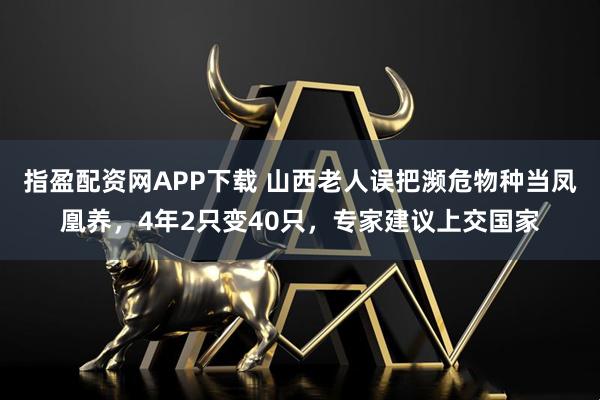 指盈配资网APP下载 山西老人误把濒危物种当凤凰养，4年2只变40只，专家建议上交国家
